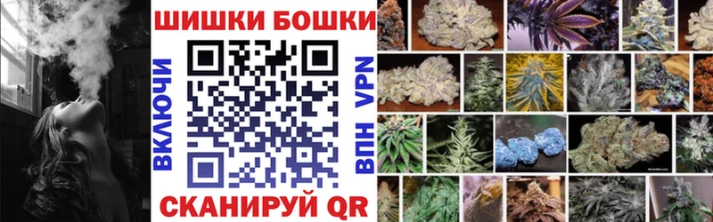 Конопля OG Kush  Лесной 